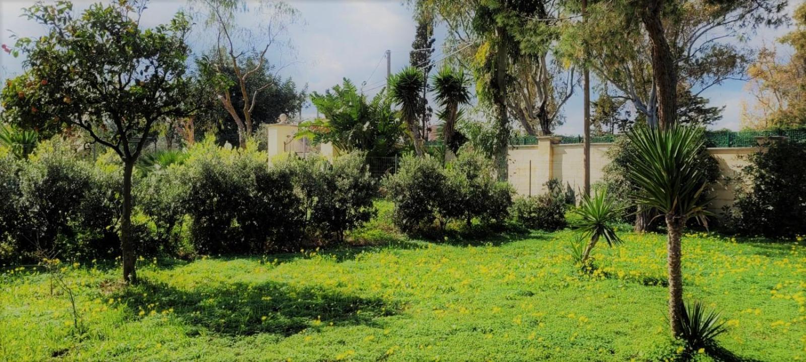 Villa Costanza Bari Esterno foto