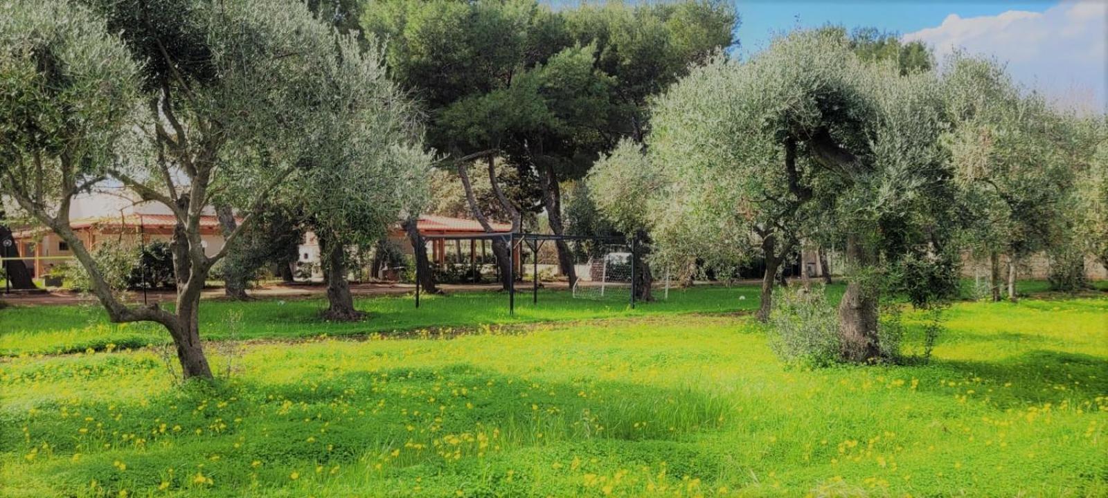 Villa Costanza Bari Esterno foto