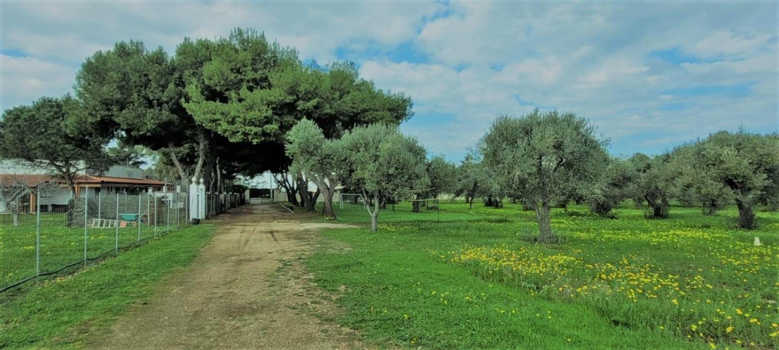 Villa Costanza Bari Esterno foto