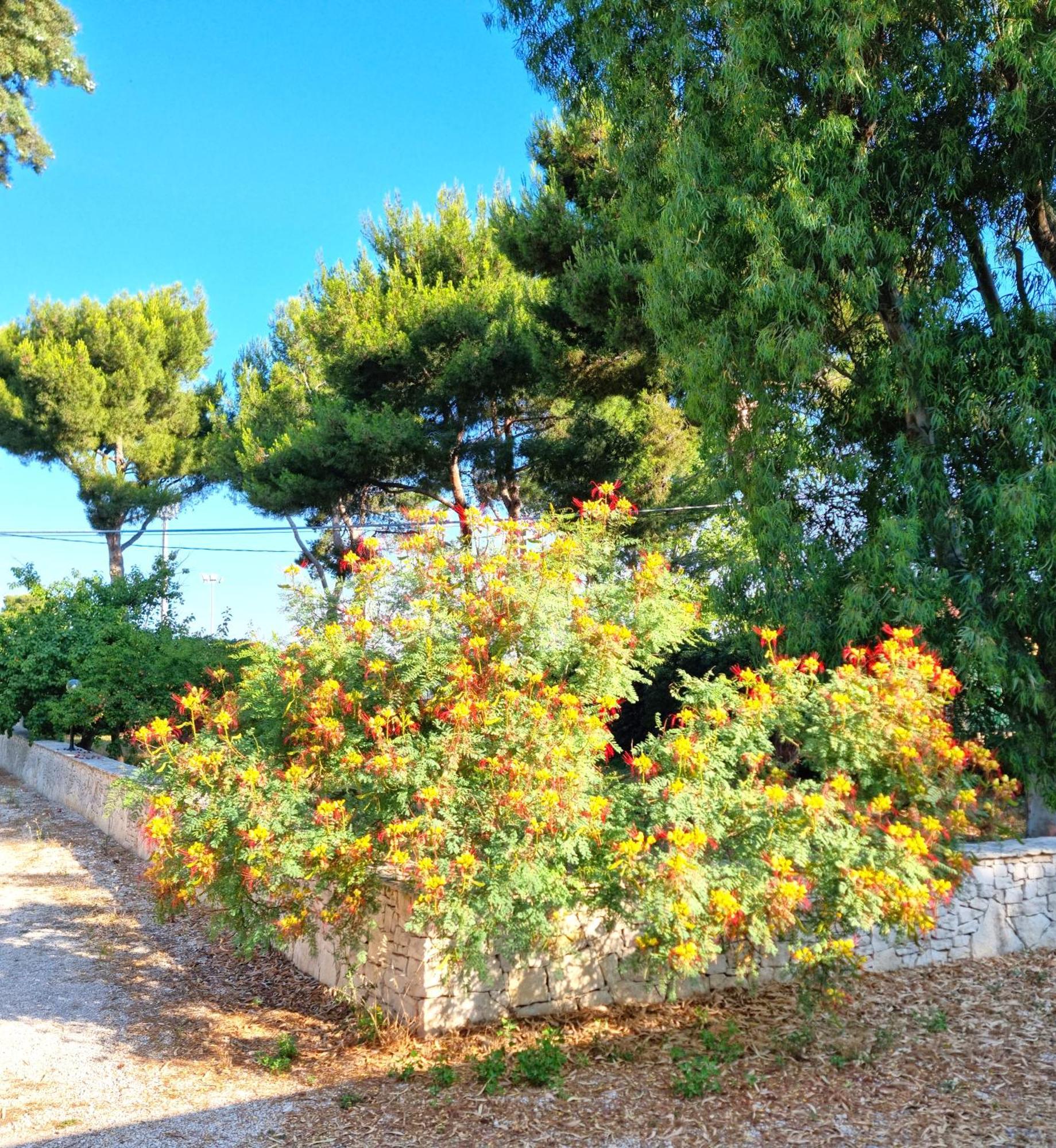 Villa Costanza Bari Esterno foto