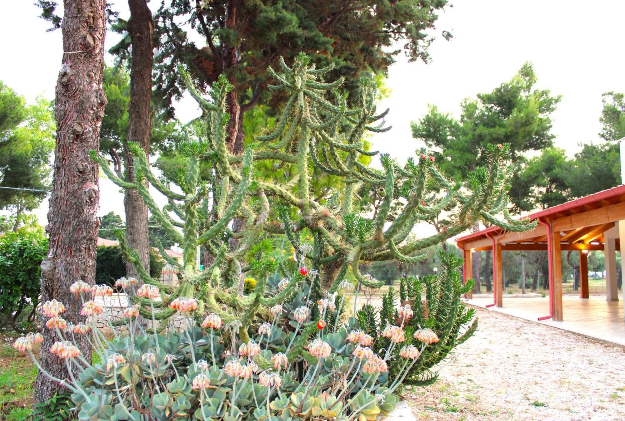 Villa Costanza Bari Esterno foto